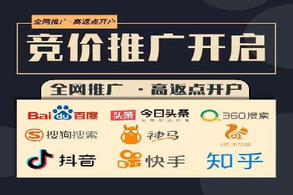 竞价托管与SEO结合的案例分析